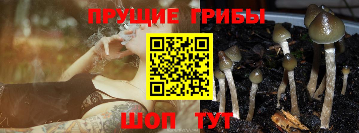 Псилоцибиновые грибы ЛСД Королёв
