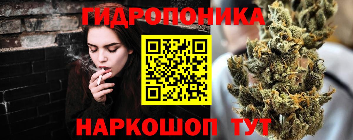 Марихуана сатива Королёв